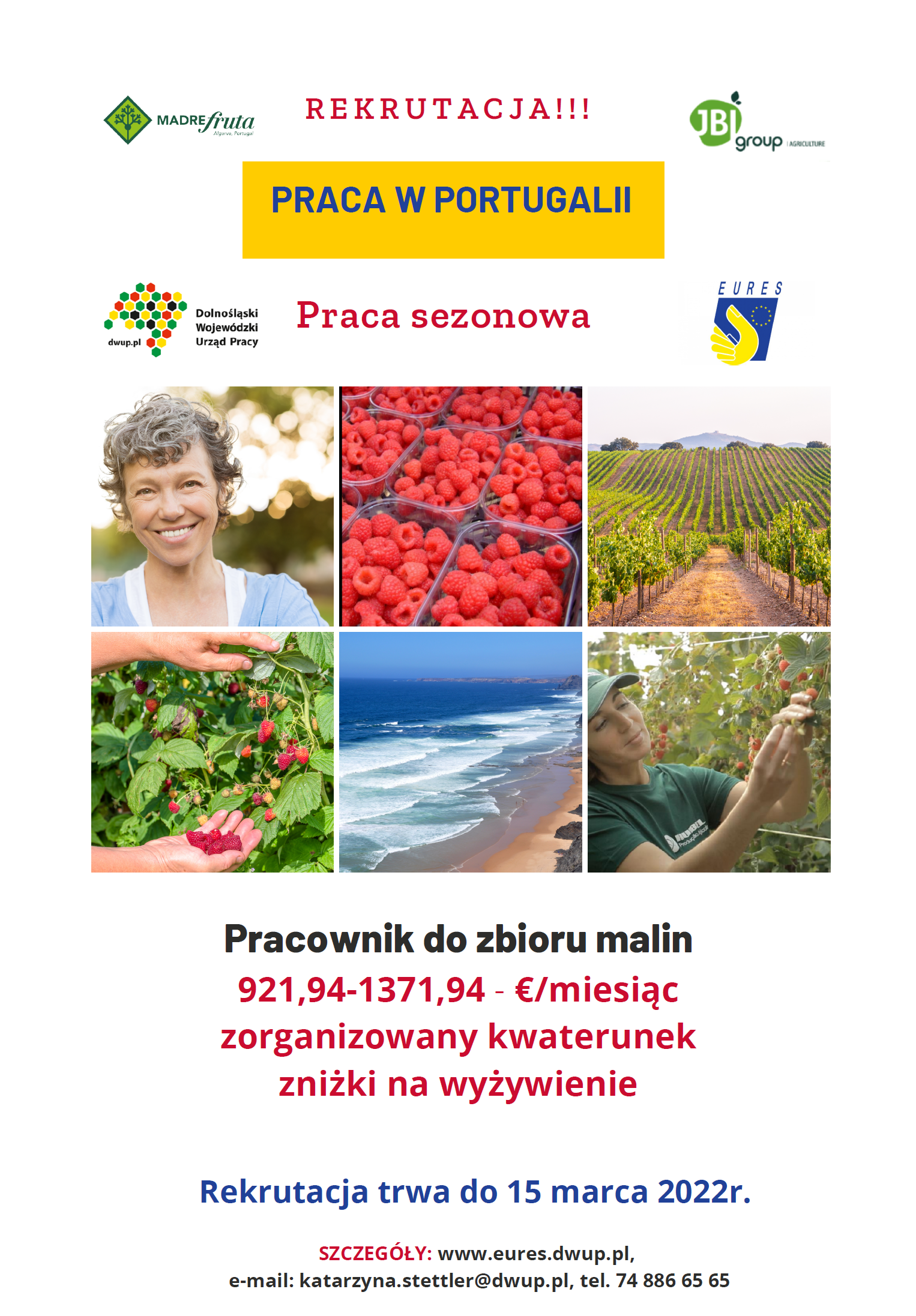 Plakat EURES zbiór malin w Portugalii